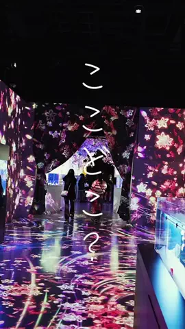 めー@癒しの風景のTikTok投稿