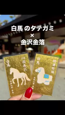 りさのTikTok投稿