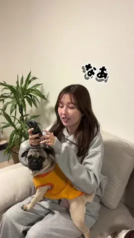 りかりこのTikTok投稿