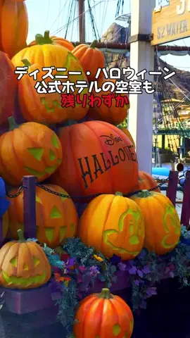 Japan Tourism | 泊まりたくなるホテルのTikTok投稿