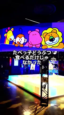 Japan Tourism | 泊まりたくなるホテルのTikTok投稿