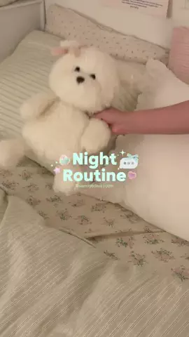 サモエドネキのお部屋のTikTok投稿