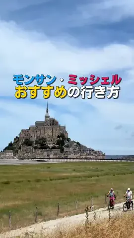 Louisの自由研究のTikTok投稿