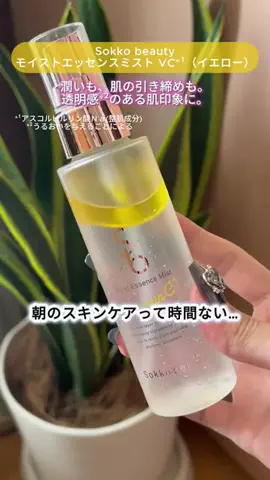 てこのTikTok投稿
