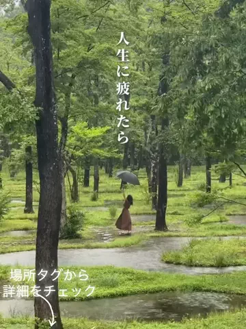 user55863167506のTikTok投稿