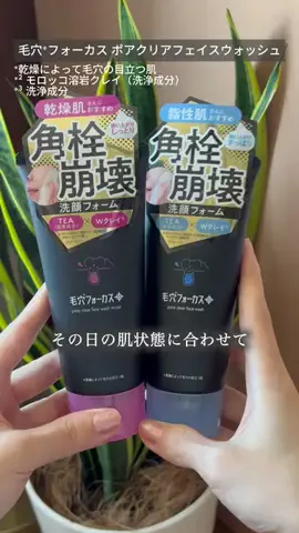 てこのTikTok投稿