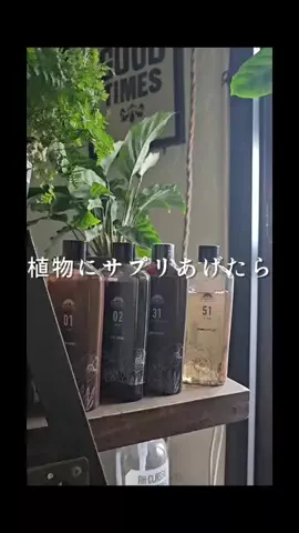 cynos5820/賃貸DIYのTikTok投稿
