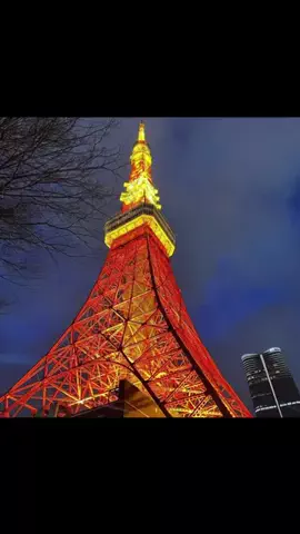 Sabina bhandari neupane 🇯🇵のTikTok投稿