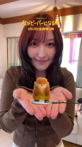 あみです、どうも。のTikTok投稿
