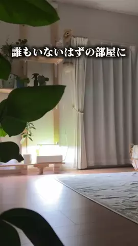 ばう｜お得に野菜を作るマメな夫のTikTok投稿