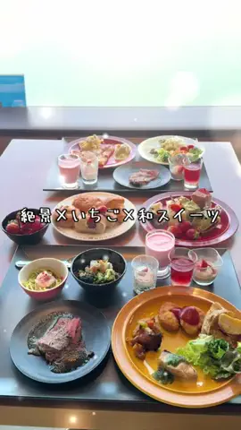 グルメロビンのTikTok投稿