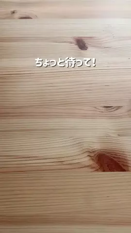 おりんのTikTok投稿