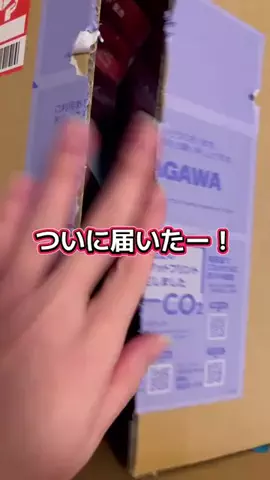 ひたんのTikTok投稿