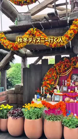 yuni_dfamilyのTikTok PR投稿：秋冬ディズニー行く人 勝手に3ヶ月の混雑予想カレンダー…