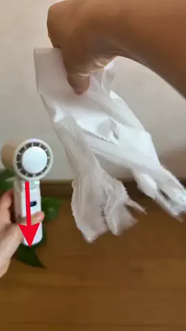 プチプラざんまいのTikTok投稿