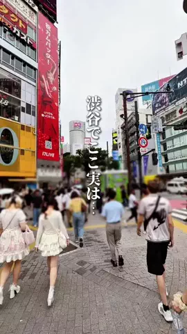 ハル｜東京グルメ・新大久保のTikTok投稿