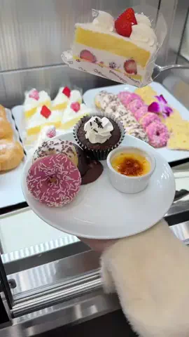ふくまる旅のTikTok投稿