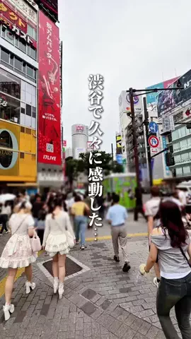 ハル｜東京グルメ・新大久保のTikTok投稿