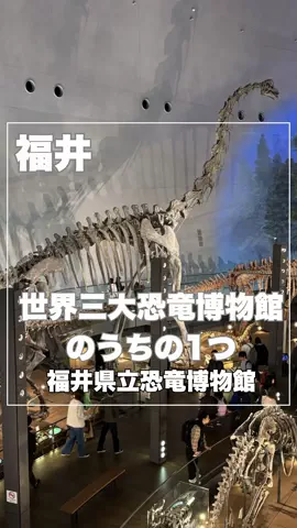 まんぷくオンニ｜ホテル旅のTikTok投稿