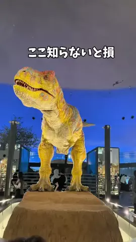 まんぷくオンニ｜ホテル旅のTikTok投稿