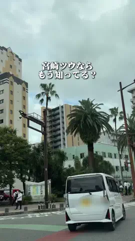 宮崎グルメ／MIYAZAKI SELECTのTikTok投稿