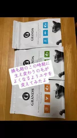 ルアさんのTikTok投稿
