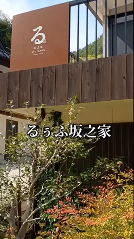 Og ToのTikTok投稿