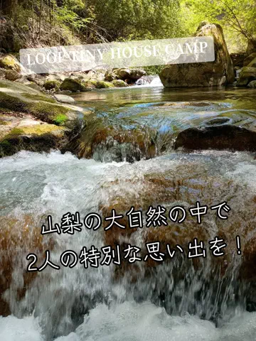 Og ToのTikTok投稿