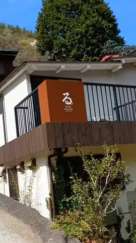 Og ToのTikTok投稿