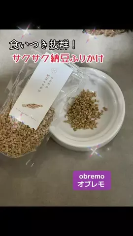 いぬのじかん to kimono着楽のTikTok投稿
