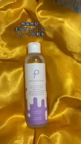 いぬのじかん to kimono着楽のTikTok投稿
