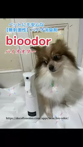 いぬのじかん to kimono着楽のTikTok投稿