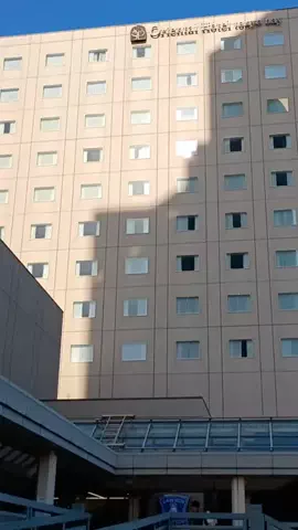 Og ToのTikTok投稿