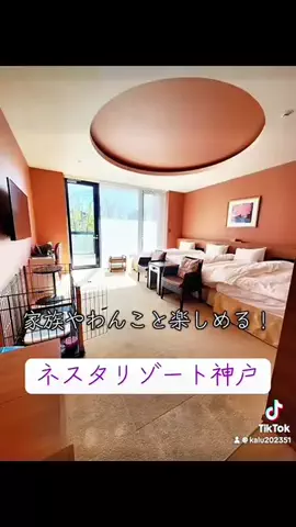 出張や旅行で泊まって良かったホテル紹介🐶KALU🐶のTikTok投稿