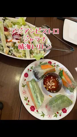 いぬのじかん to kimono着楽のTikTok投稿