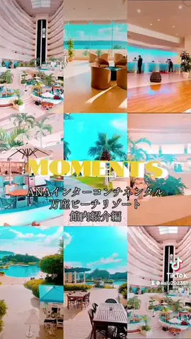 出張や旅行で泊まって良かったホテル紹介🐶KALU🐶のTikTok投稿