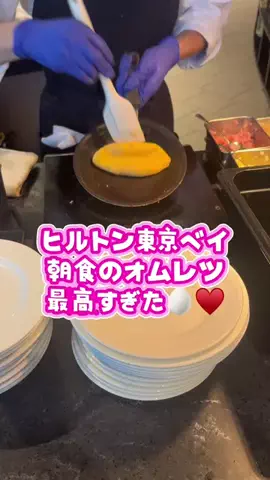 出張や旅行で泊まって良かったホテル紹介🐶KALU🐶のTikTok投稿