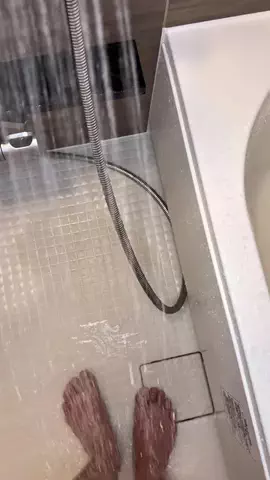 ねこみ。のTikTok投稿
