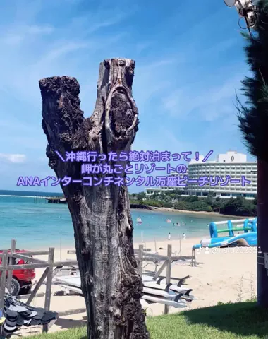 出張や旅行で泊まって良かったホテル紹介🐶KALU🐶のTikTok投稿