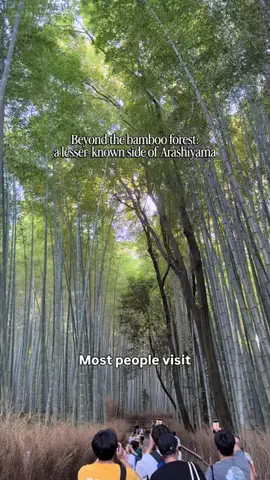 Mari | Japan Travel 🎌のTikTok投稿