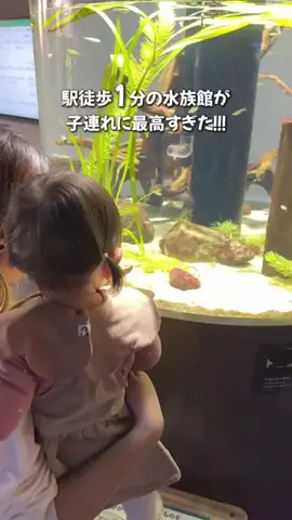 しごおわ主婦のTikTok投稿