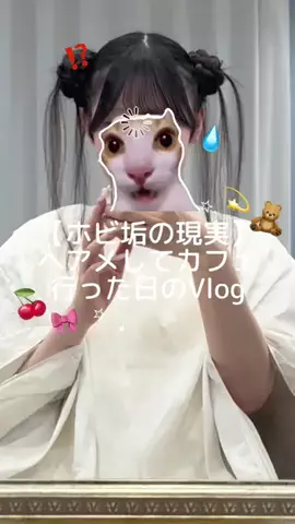 ちょろねこさんのTikTok投稿