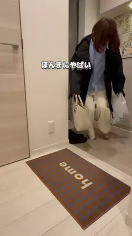 nonn*｜プレママ・出産準備・0歳育児のTikTok投稿