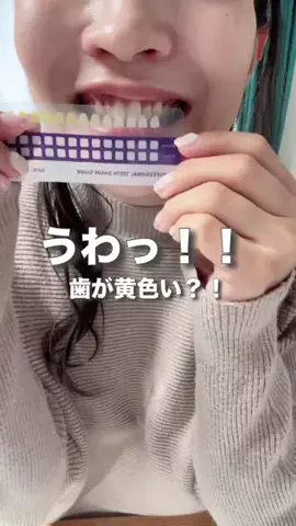 かかみのTikTok投稿