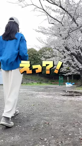 かかみのTikTok投稿