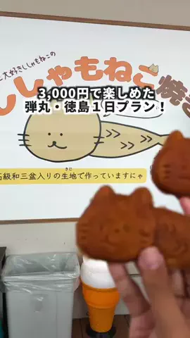 NEOトラベラーズ | 関西発🌏のTikTok投稿
