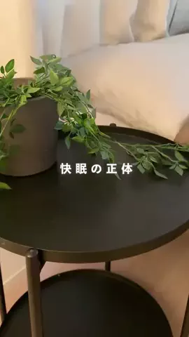 トピナビのTikTok投稿