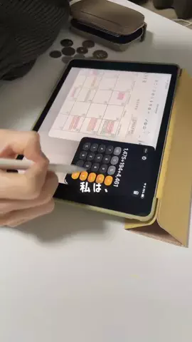 めぐさや｜低収入×家計管理のTikTok投稿