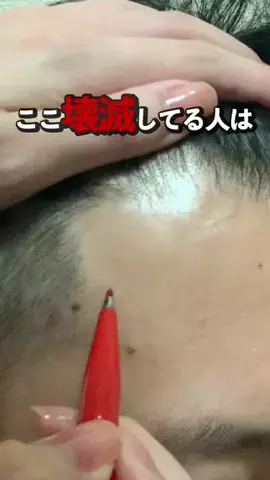 トピナビのTikTok投稿