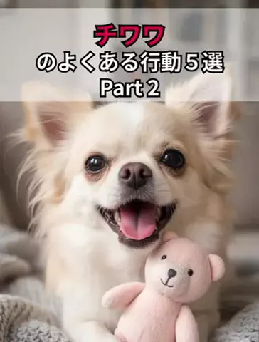 犬あるある劇場のTikTok投稿